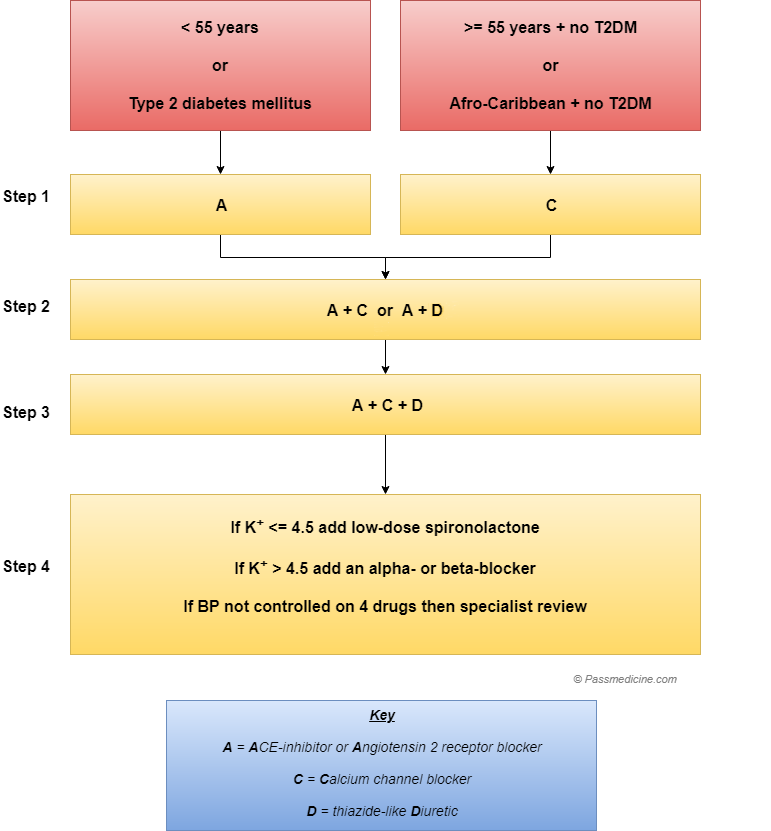 Hypertension Medication Flow Chart